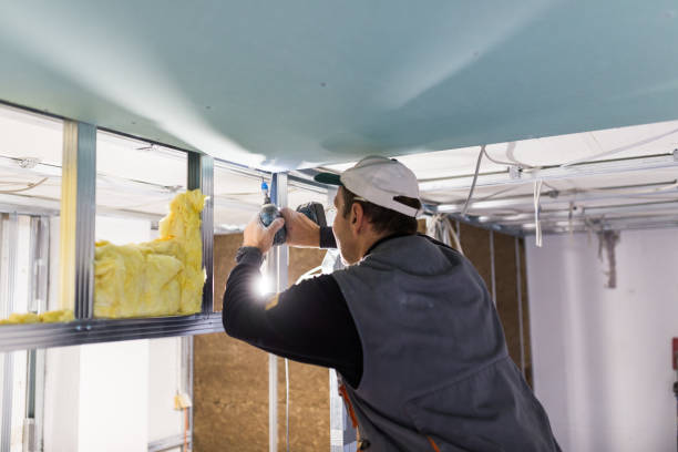 Best Commercial Insulation in Irwindale, CA